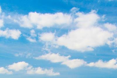 100% Financial Protection