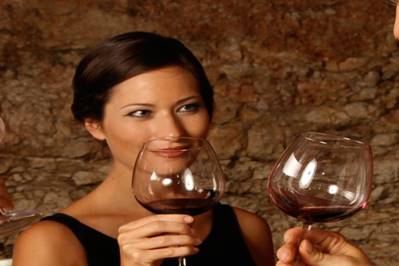 The UK’s Best Wine Estates
